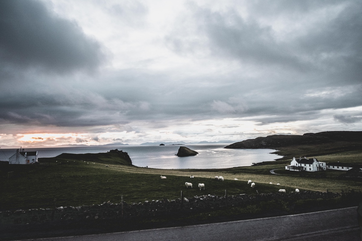 Scottish landscape with sheep and dramatic sky